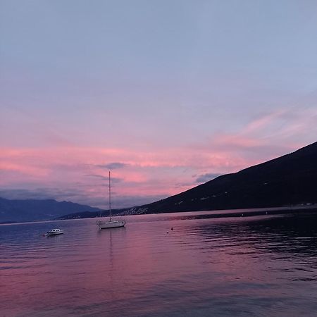 Apartman Gust Herceg Novi Kültér fotó