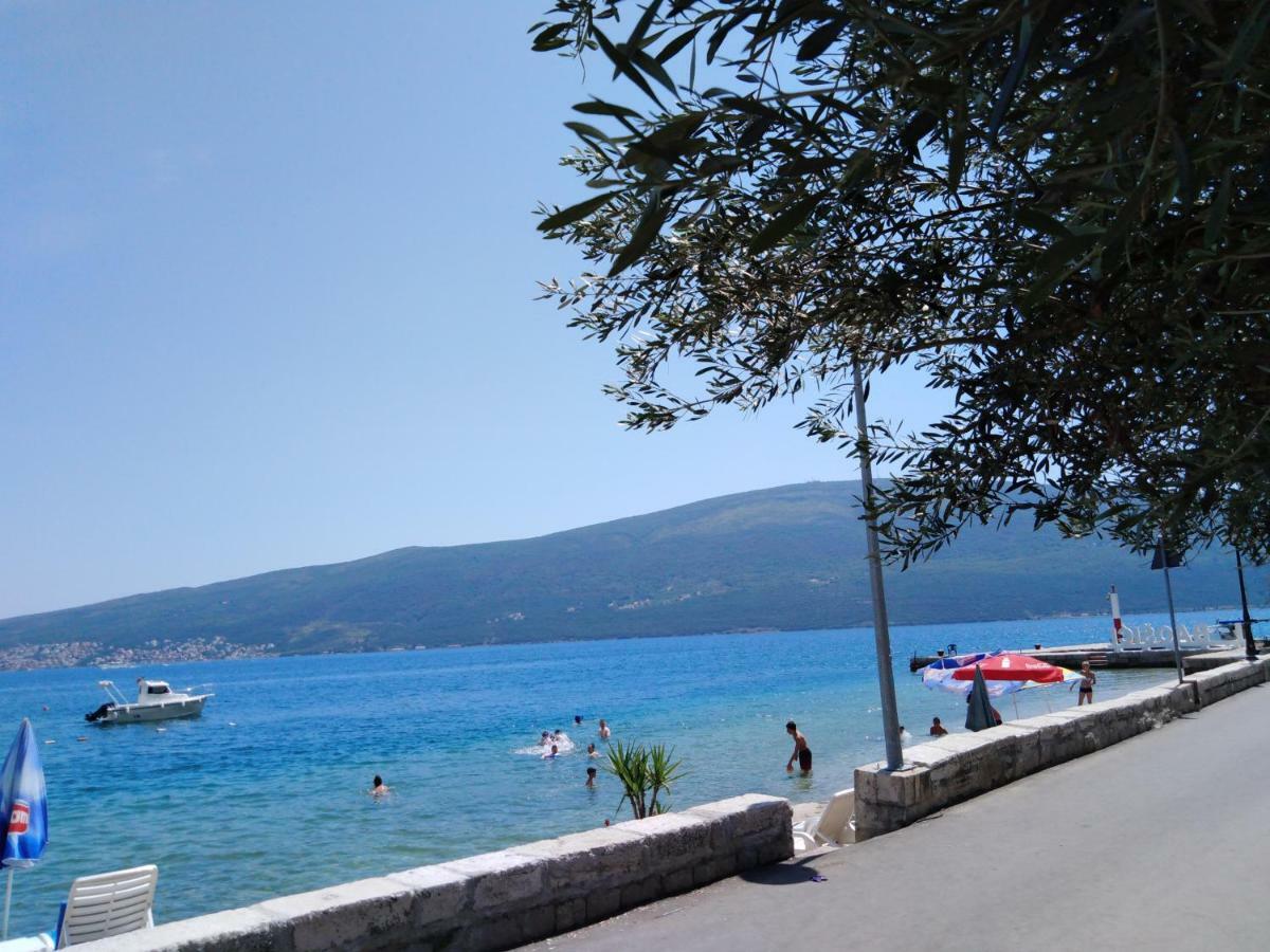 Apartman Gust Herceg Novi Kültér fotó